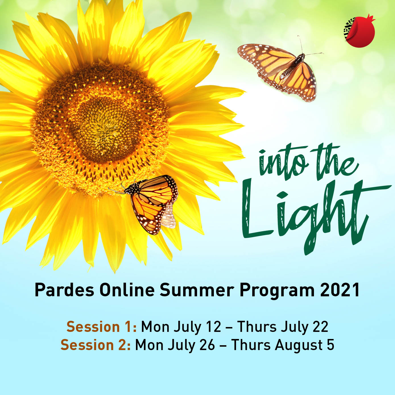 Into the Light… Pardes Online Summer Program 2021 Session 2