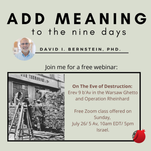 Add Meaning to the Nine Days with Dr. David I. Bernstein