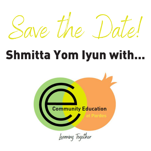Shmitta Yom Iyun (ISRAEL TIME ZONE)