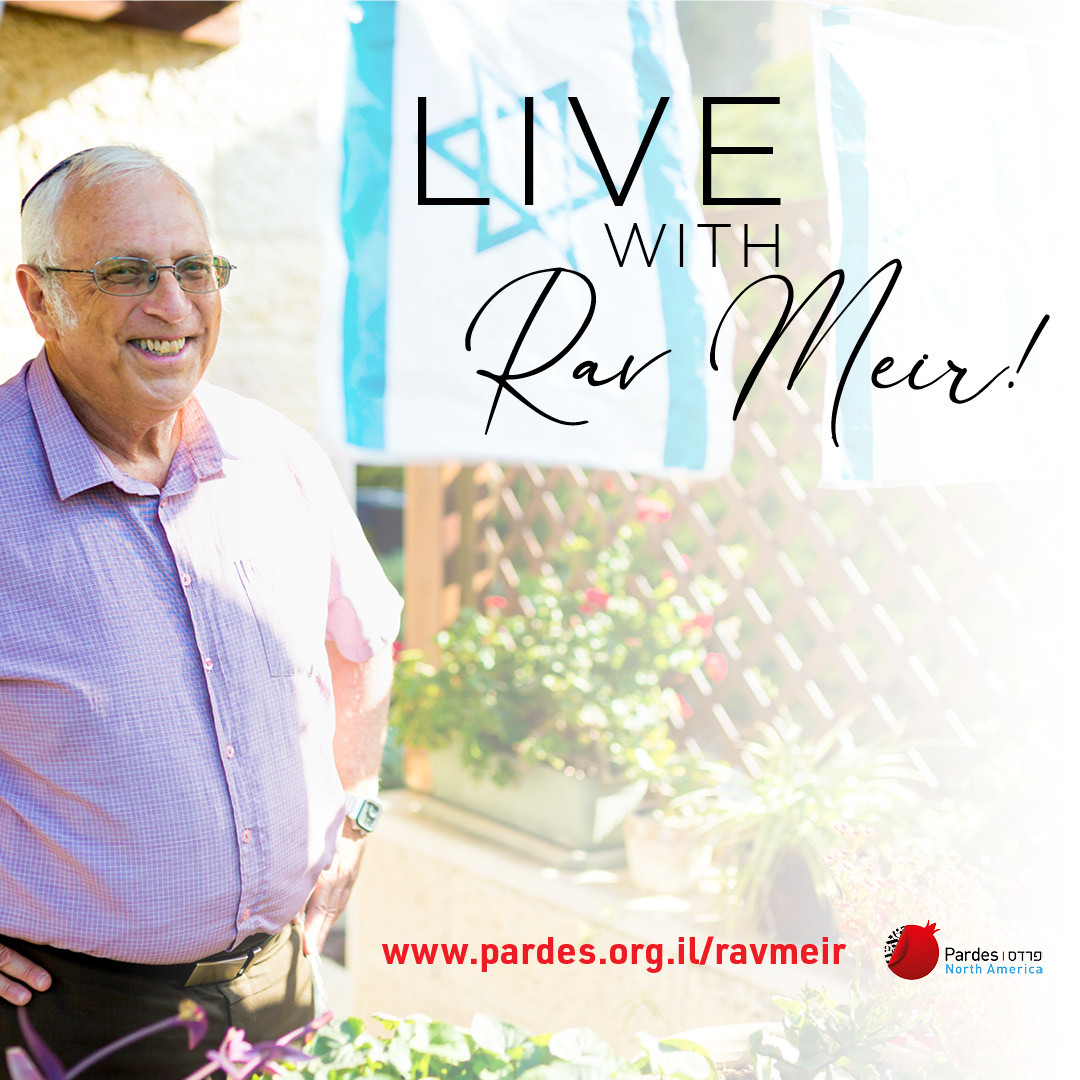 Live with Rav Meir