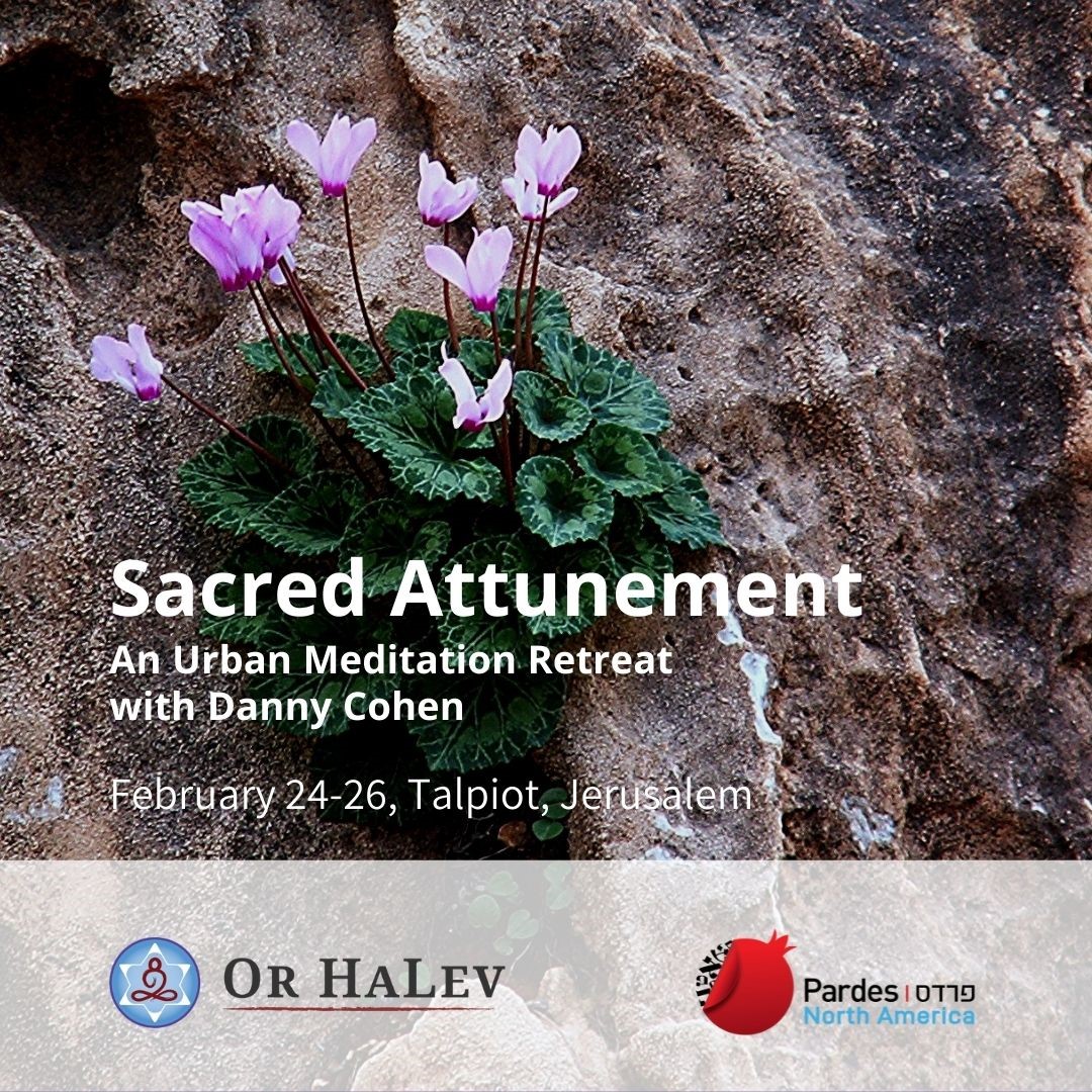 Sacred Attunement: An Urban Meditation Retreat With Or HaLev & Pardes