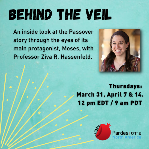 Behind the Veil with Ziva R. Hassenfeld