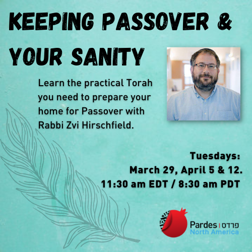 Keeping Passover & Your Sanity with Zvi Hirschfield