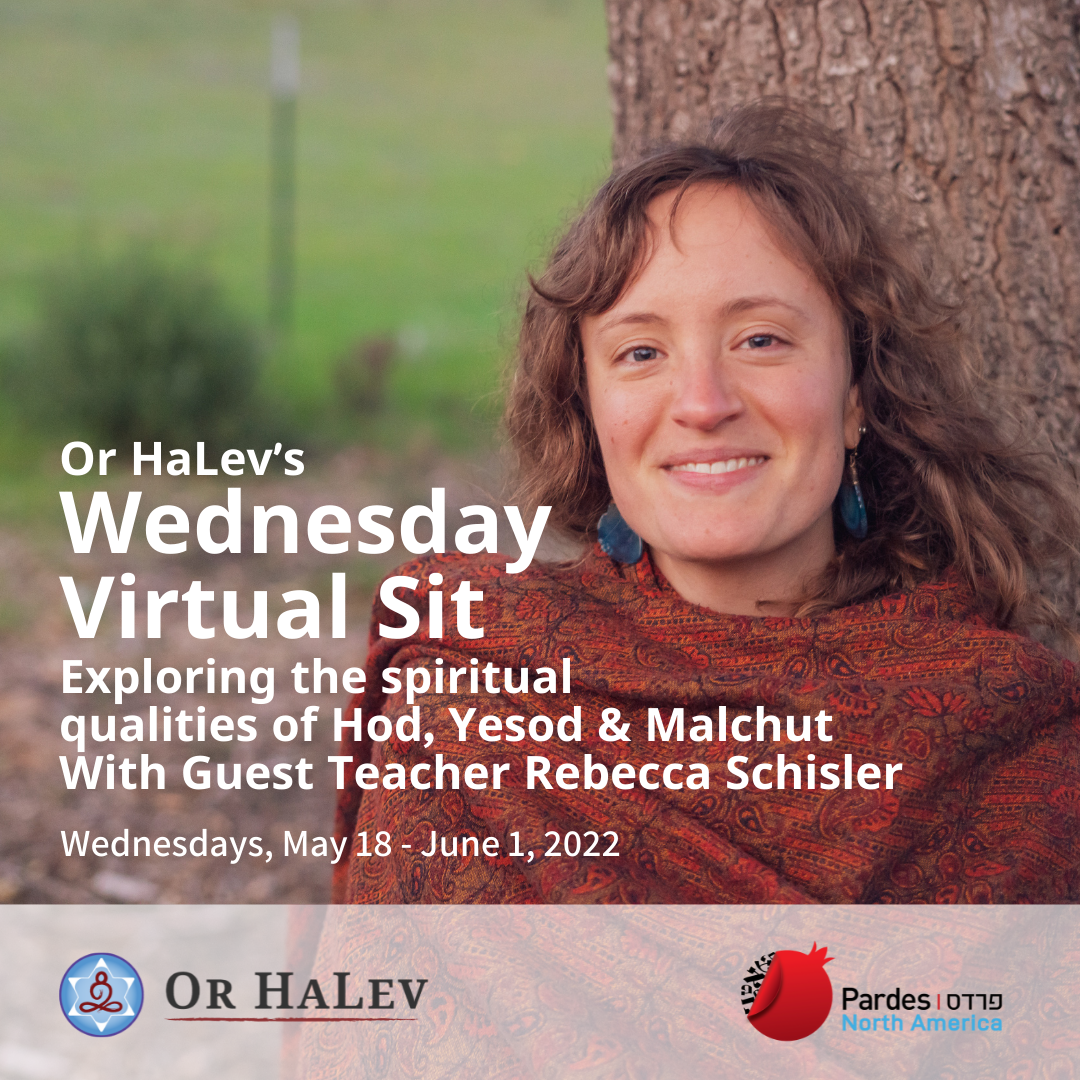 Or HaLev Presents: Virtual Sit with Guest Teacher Rebecca Schisler