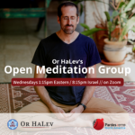 Open Meditation Group with Rabbi Dr. James Jacobson-Maisels