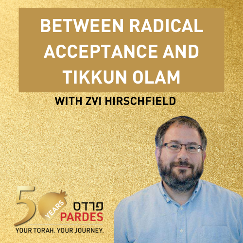 Between Radical Acceptance and Tikkun Olam