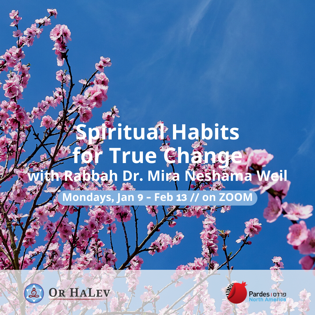 Spiritual Habits for True Change
