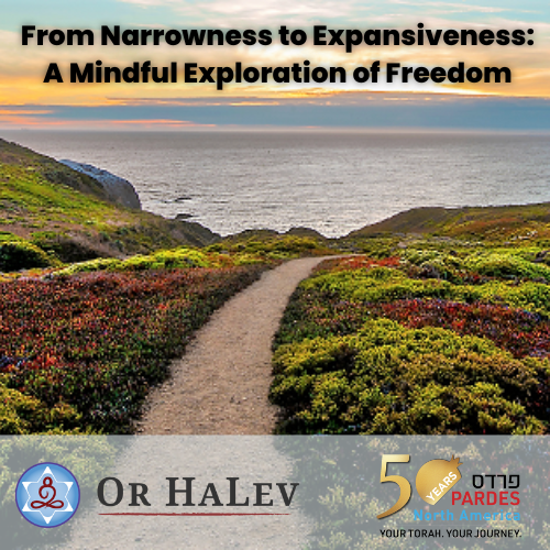 From Narrowness to Expansiveness: A Mindful Exploration of Freedom