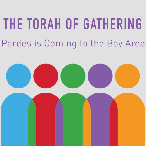 The Torah of Gathering Intensive - Bay Area