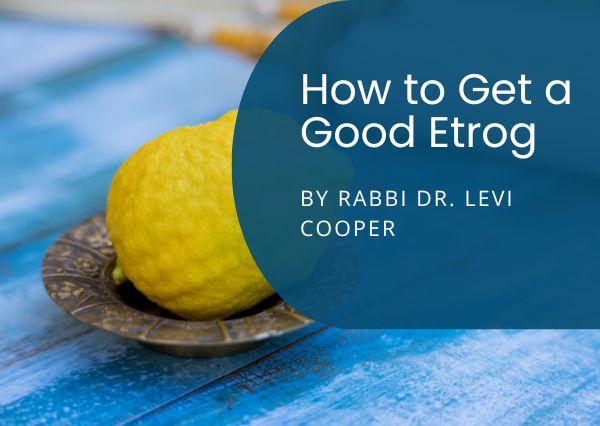 How to Get a Good Etrog by Rabbi Dr. Levi Cooper