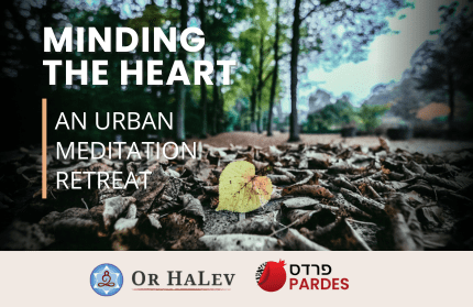 Minding the Heart: An Urban Meditation Retreat